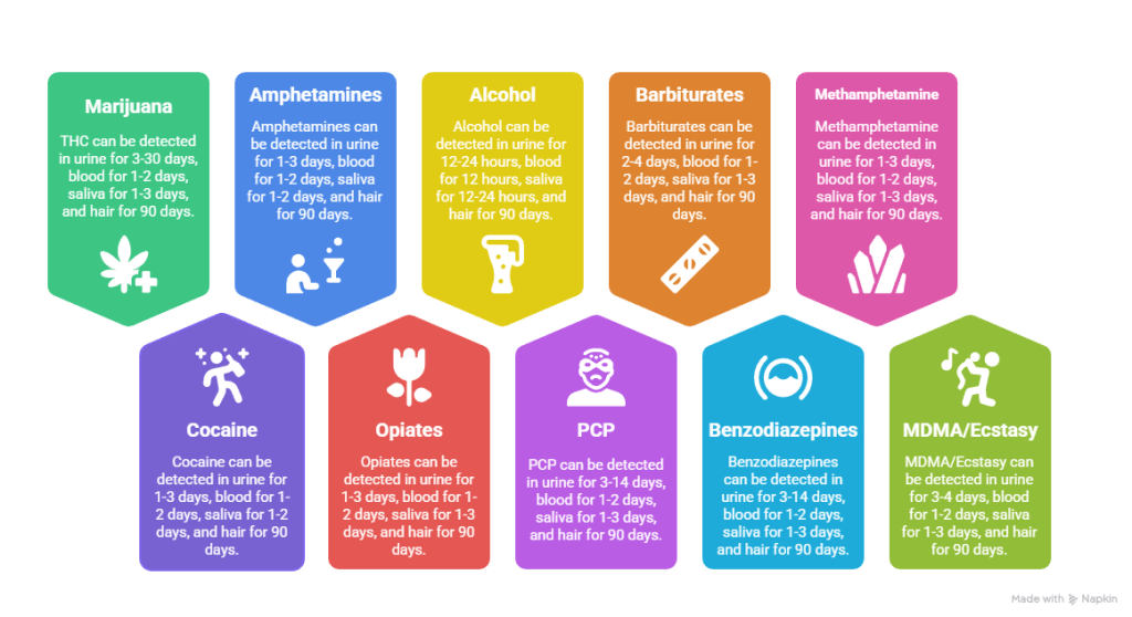 Cannabis Detection Timeline — Quick Reference | Uper Weed