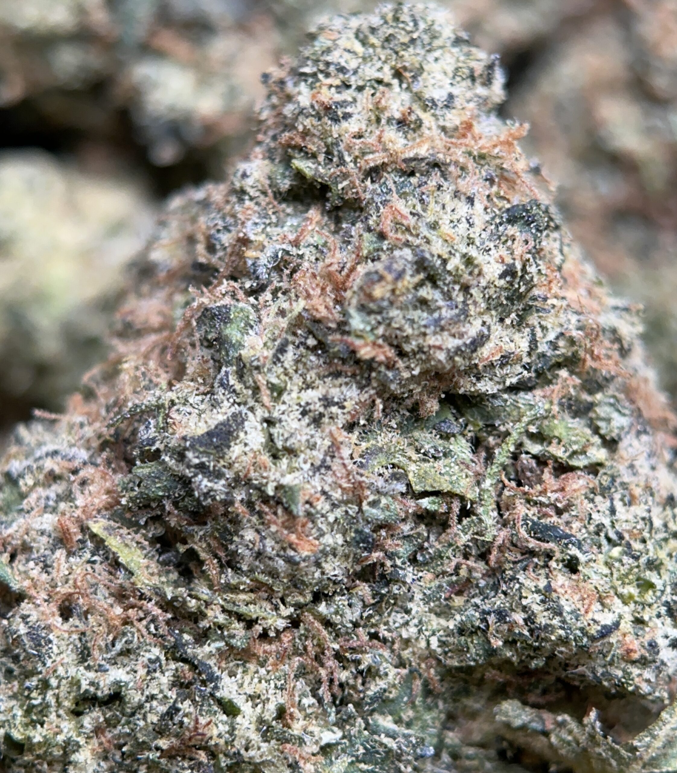 Apple MAC photo 3