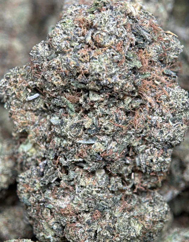 Astro Kush photo 4