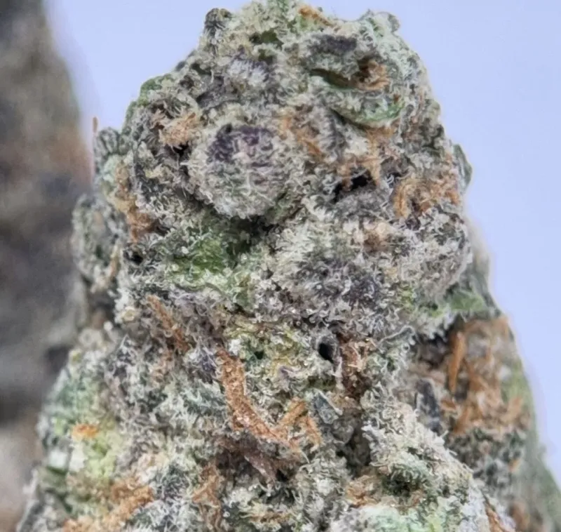 Black Ghost OG photo 3