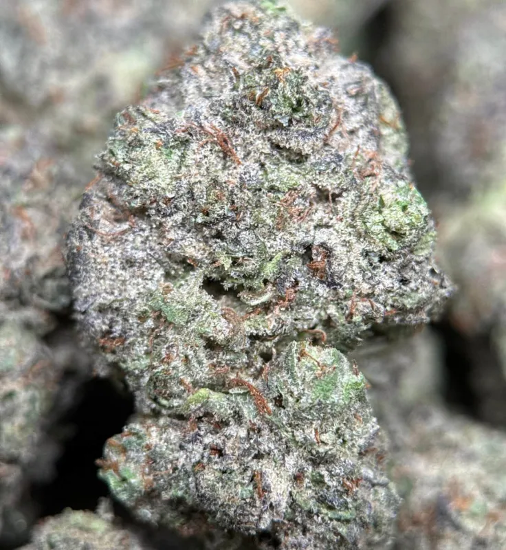 Blue Diesel photo 3