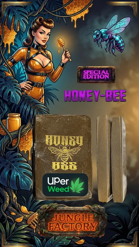 Bueno Hash photo 9