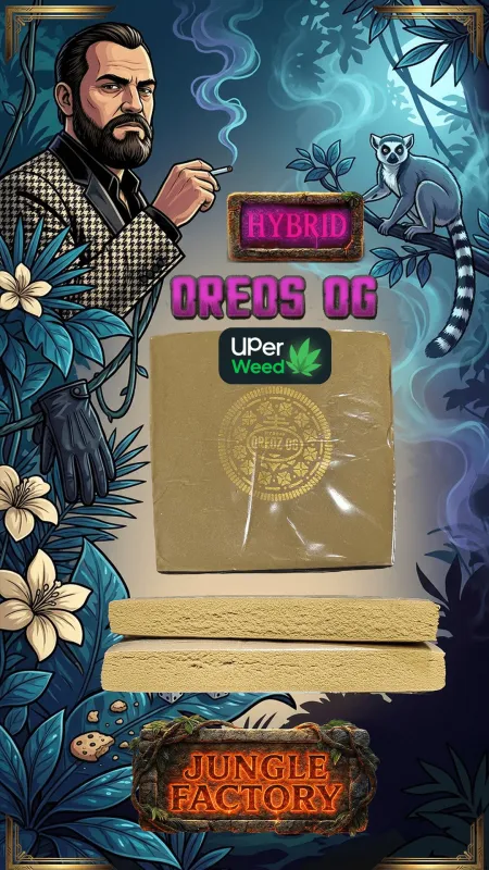 Insane OG Hash photo 2