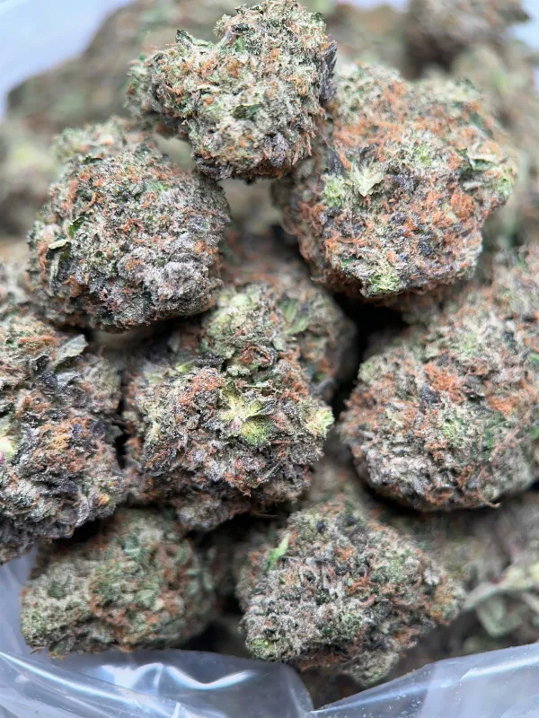 King Louis XIII photo 4
