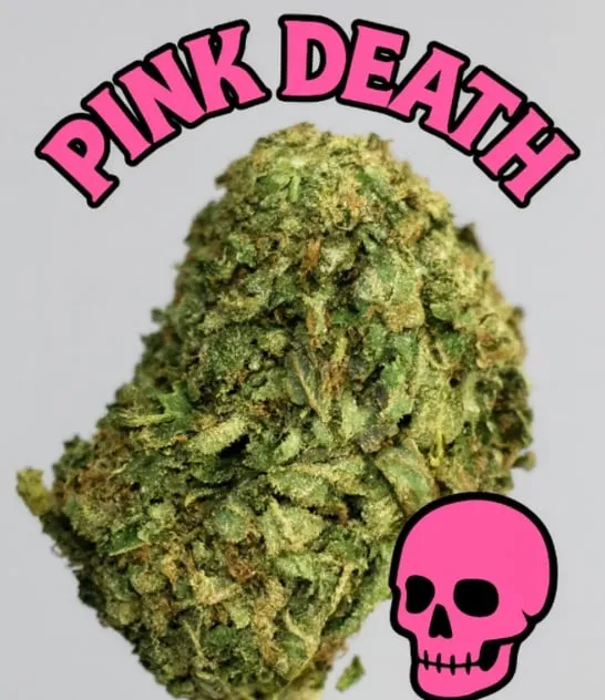 Pink Death photo 2
