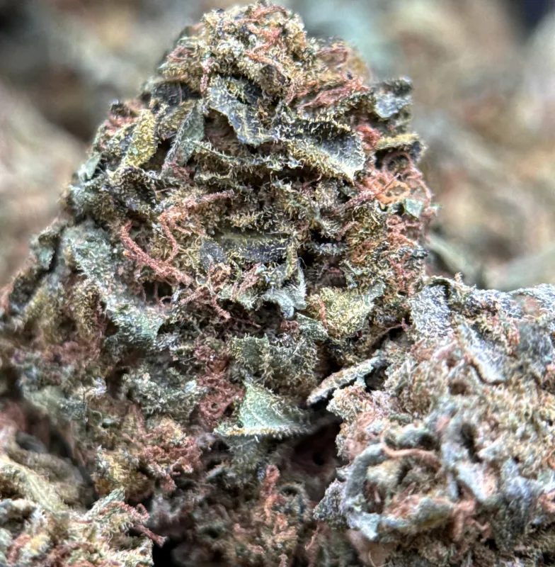 Sour Diesel 2 photo 3